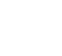 City Of Dallas Logo