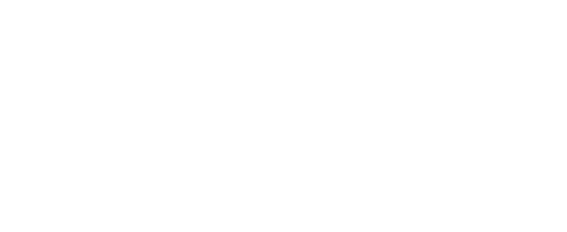 Texas WIC White Logo